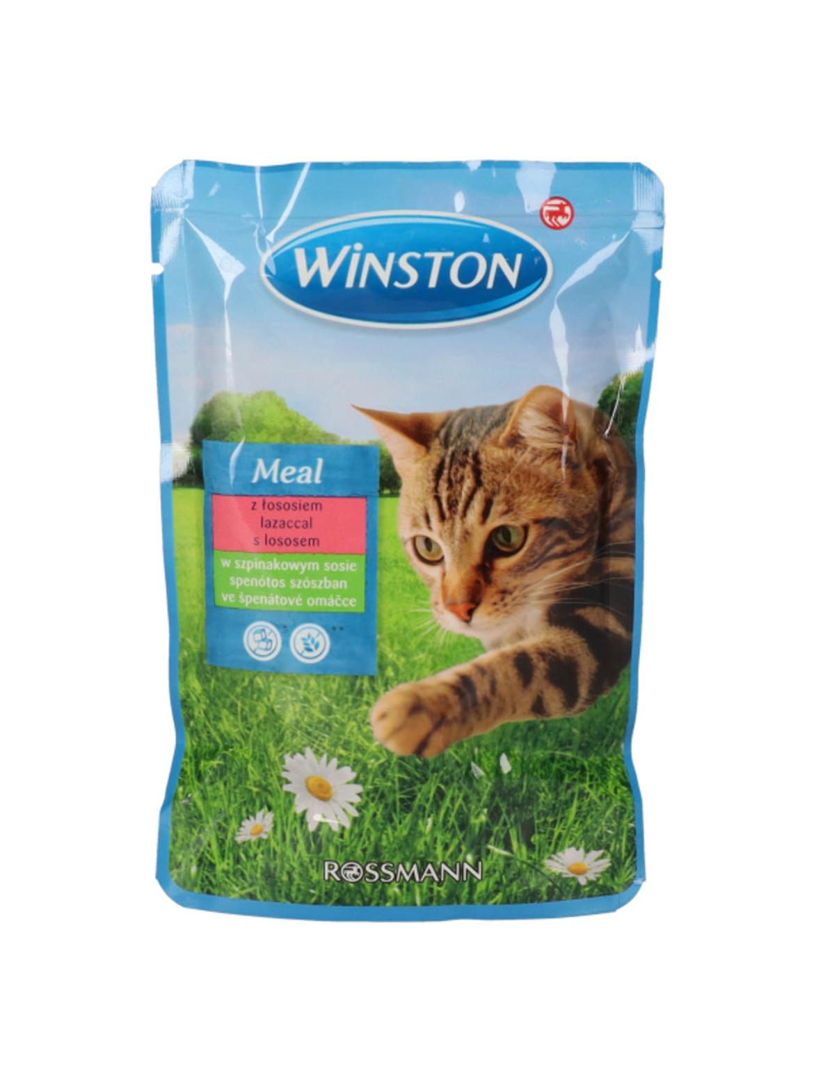 Winston lazac, spenótos szószos alutasak macskáknak