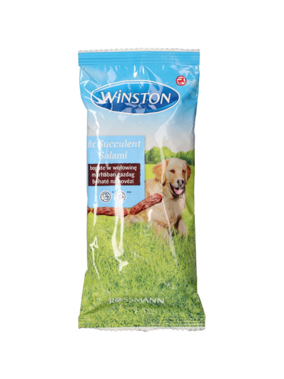 Winston jutalomfalat kutyáknak, szaftos szalálmi - 60 g
