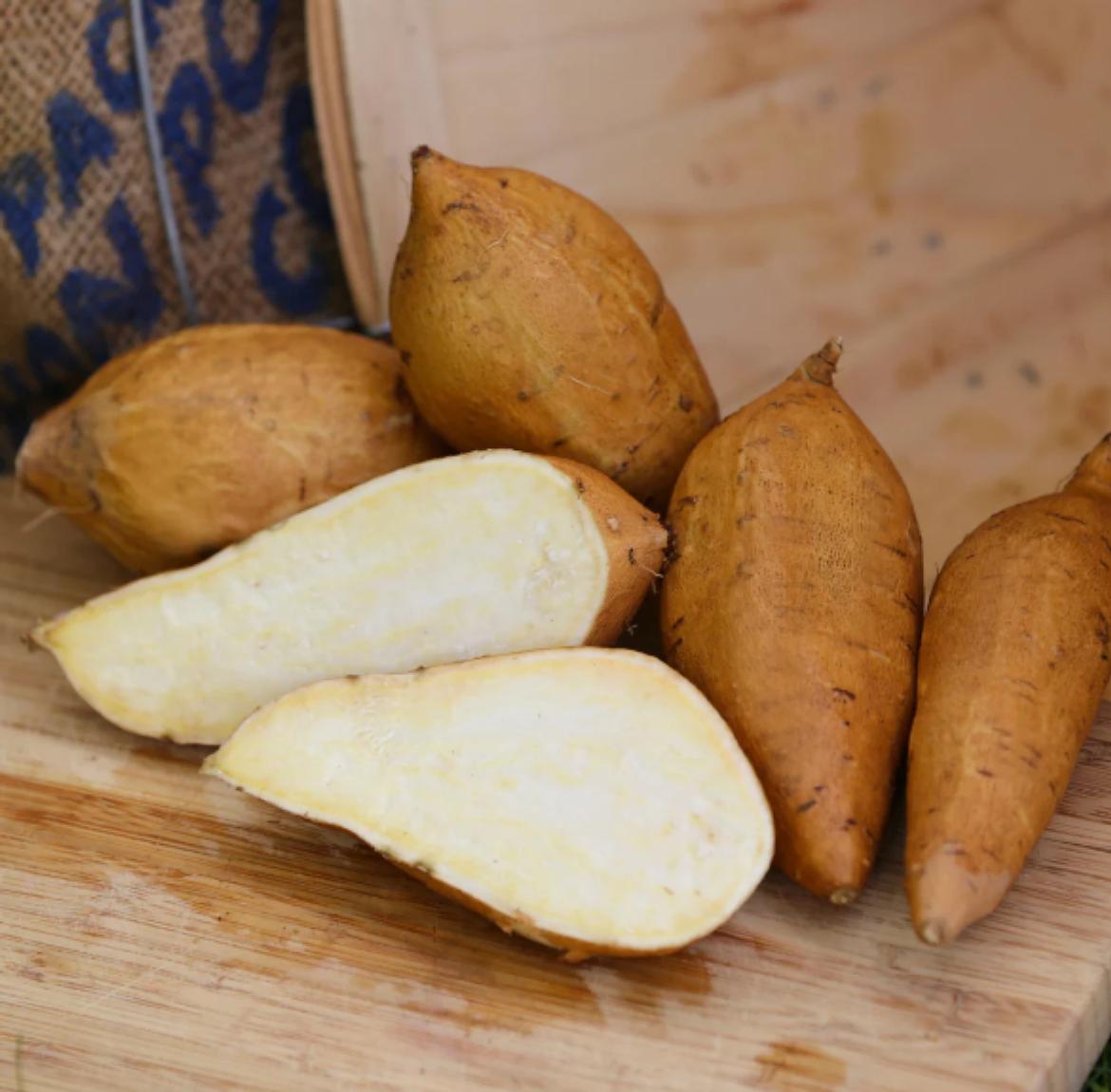 Vegyszermentes batáta / édesburgonya fehér héjú fehér húsú ( kg )