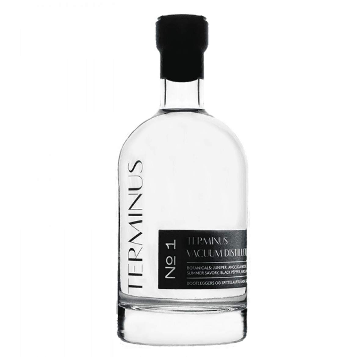 Terminus gin 40%
