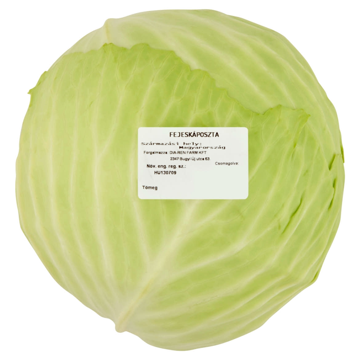 Fejeskáposzta