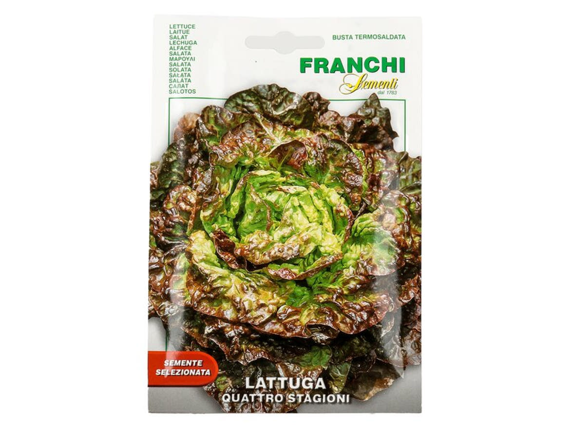 Franchi Lattuga Quattro Stagioni saláta vetőmag