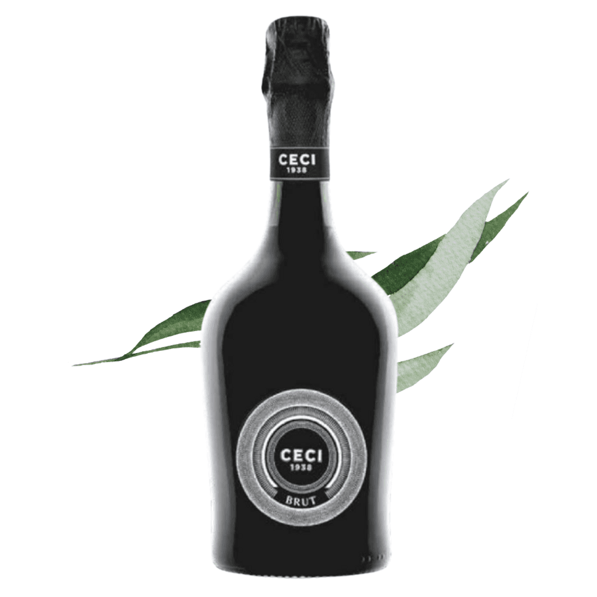 Otello Ceci - Ceci 1938 Spumante Brut