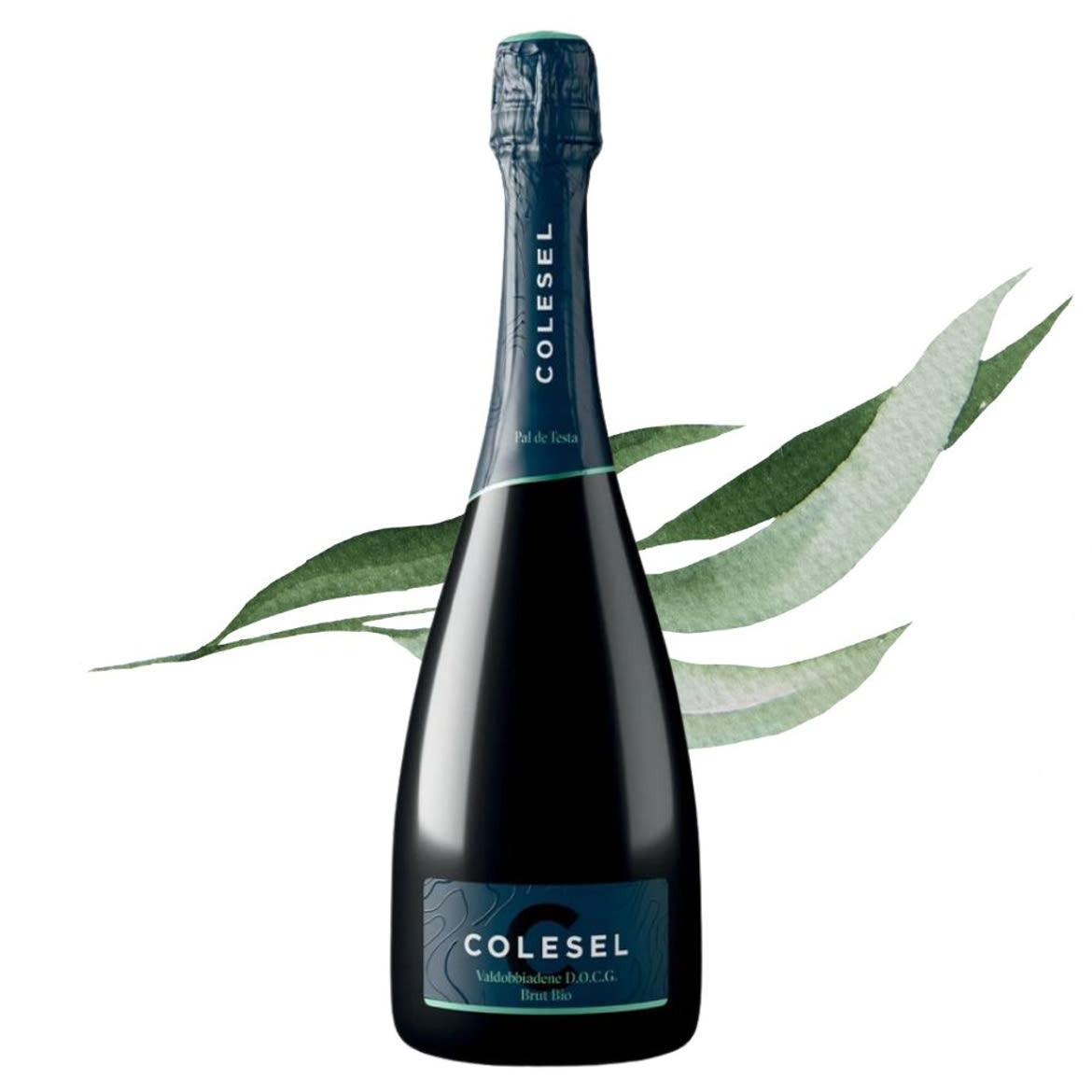 Colesel - Pal de Testa Bio Valdobbiadene Prosecco Superiore DOCG Brut