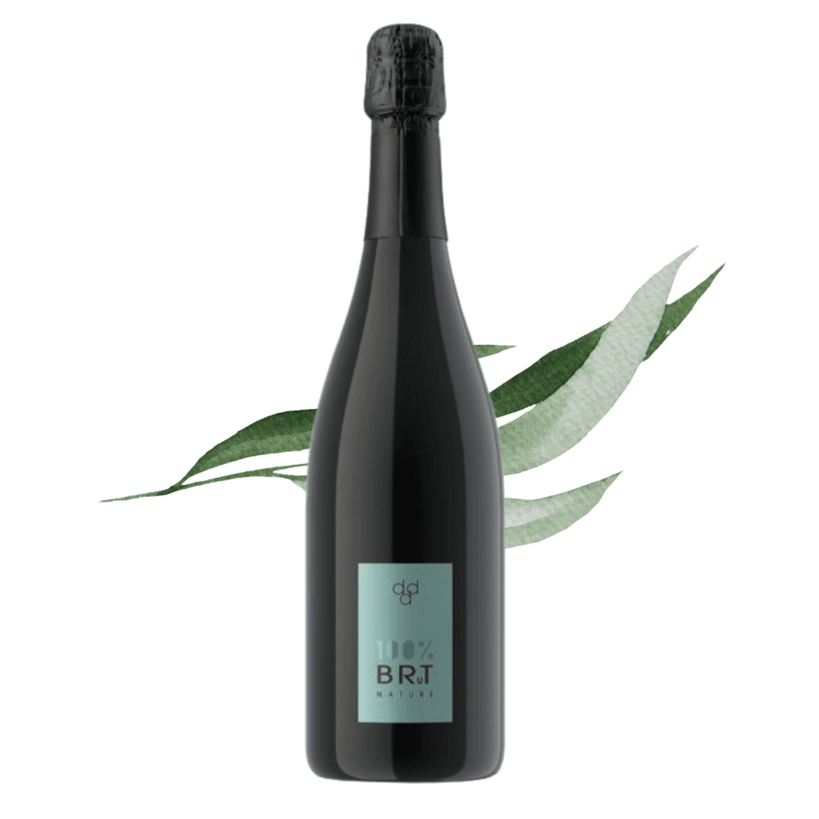 Duca di Dolle - BRTN Sui Lieviti Valdobbiadene Prosecco Superiore DOCG Brut Nature