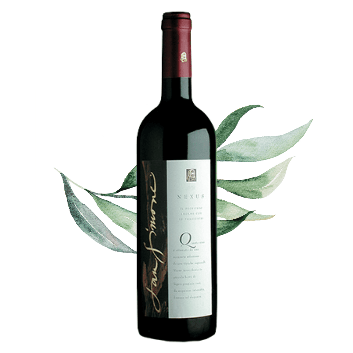 San Simone - Nexus Cabernet Sauvignon