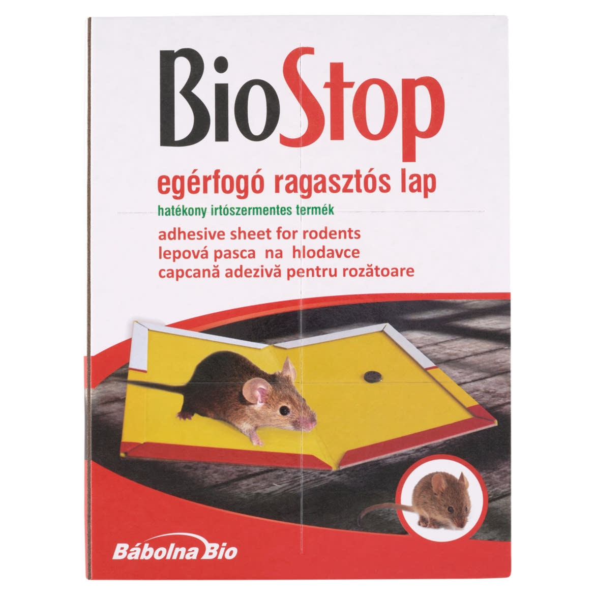 BioStop egérfogó ragasztós lap
