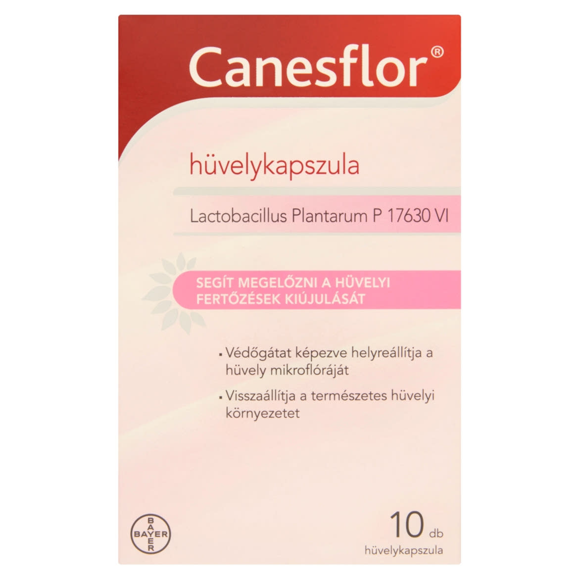 Canesflor probiotikus hüvelykapszula, pl. antibiotikum kúra után