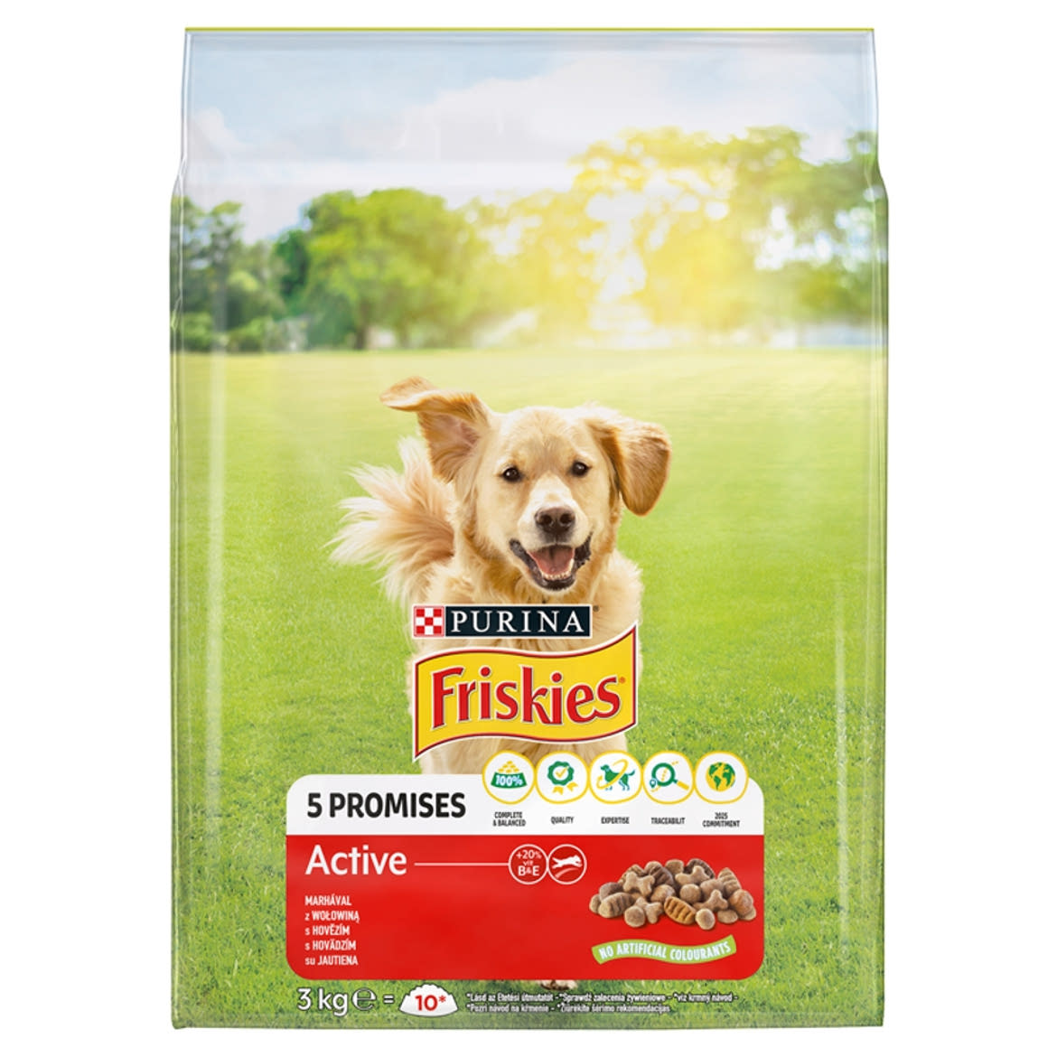 Friskies kutya szárazeledel active