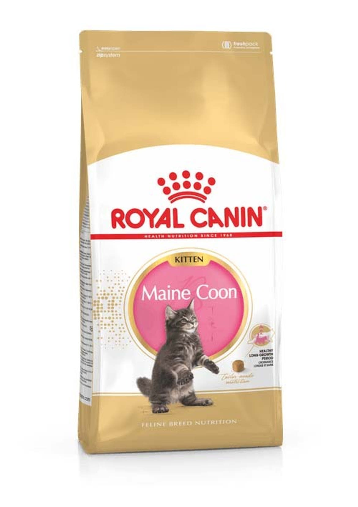 Royal Canin Feline Breed Nutrition Maine Coon kitten száraz macskaeledel
