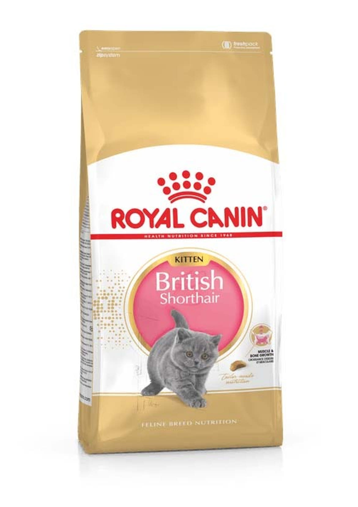 Royal Canin Feline Breed Nutrition Brit rövidszőrű kitten száraz macskaeledel