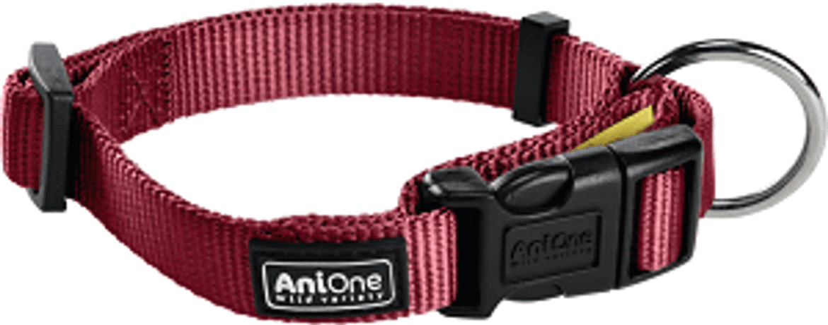 AniOne Classic kutya nyakörv lila XS