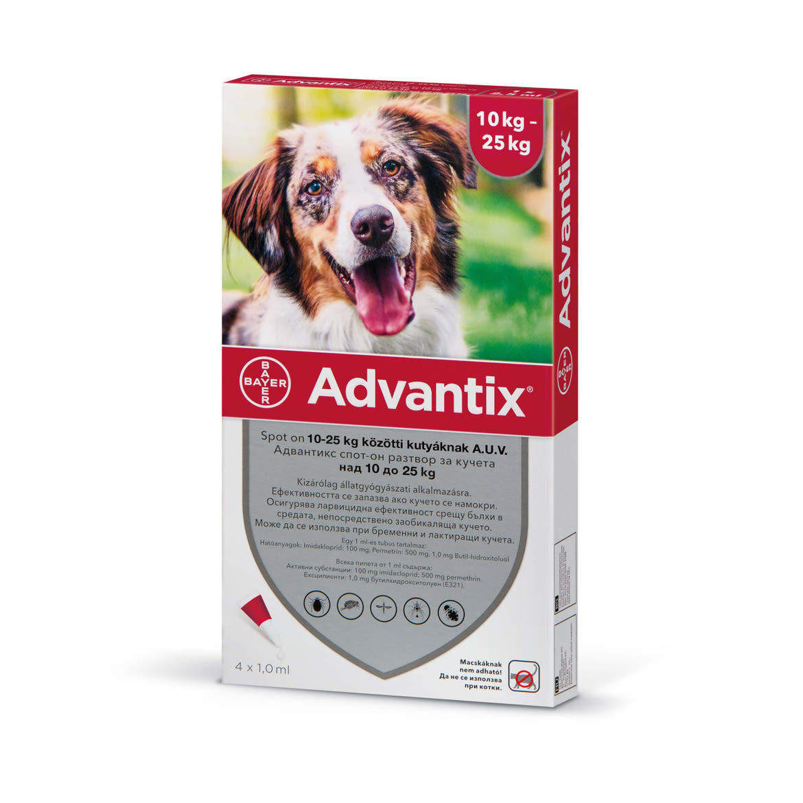 Advantix spot-on kutyáknak 10-25kg 4x2,5ml