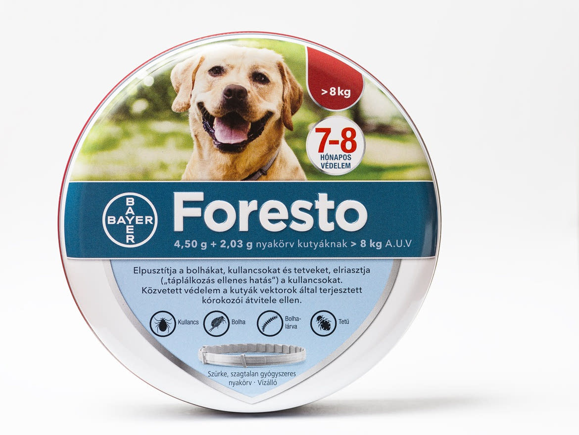 Foresto nyakörv Kullancs és bolha ellen kutyáknak 8kg felett 70cm