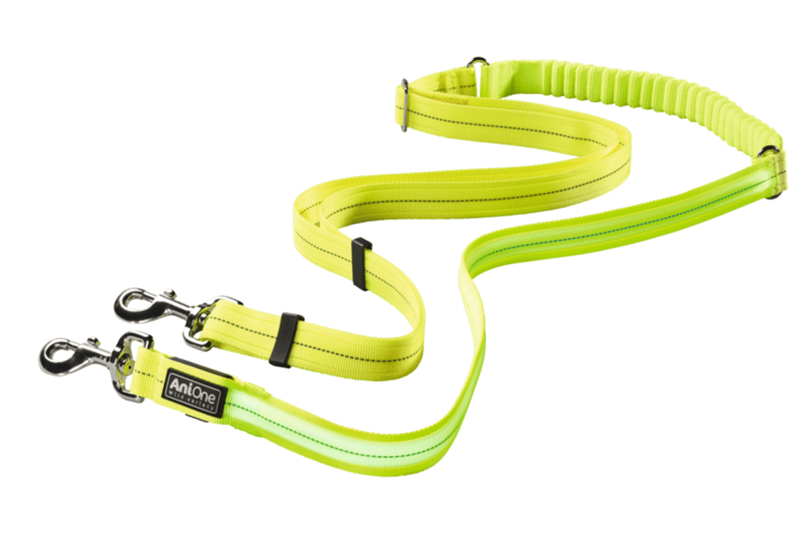 AniOne futópóráz futóövhöz kutyáknak USB-s