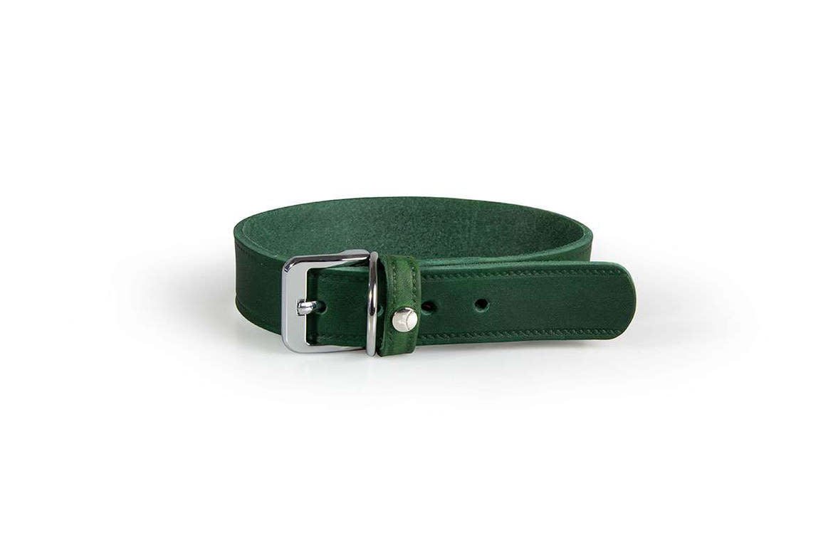 Das Lederband kutyanyakörv Weinheim zöld 22-29cm