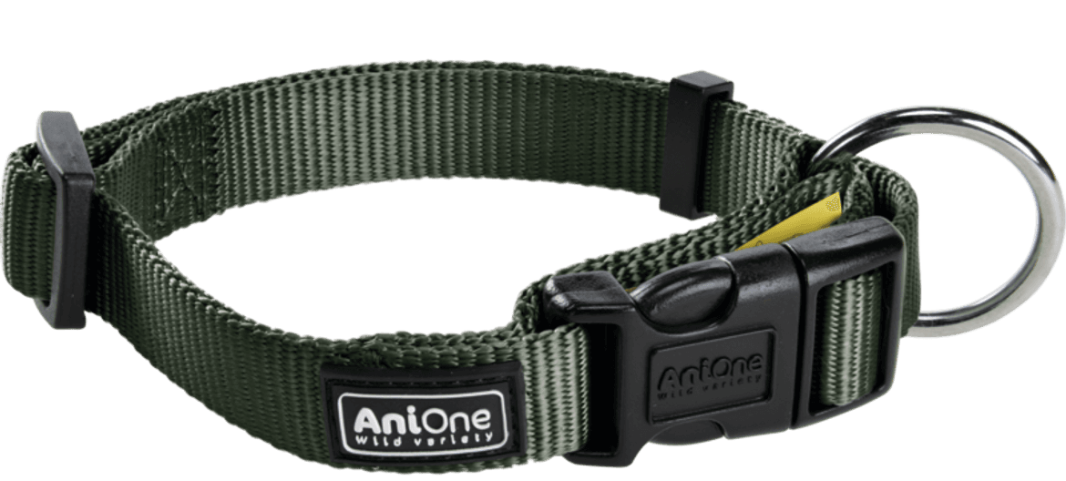 AniOne Classic kutya nyakörv zöld L