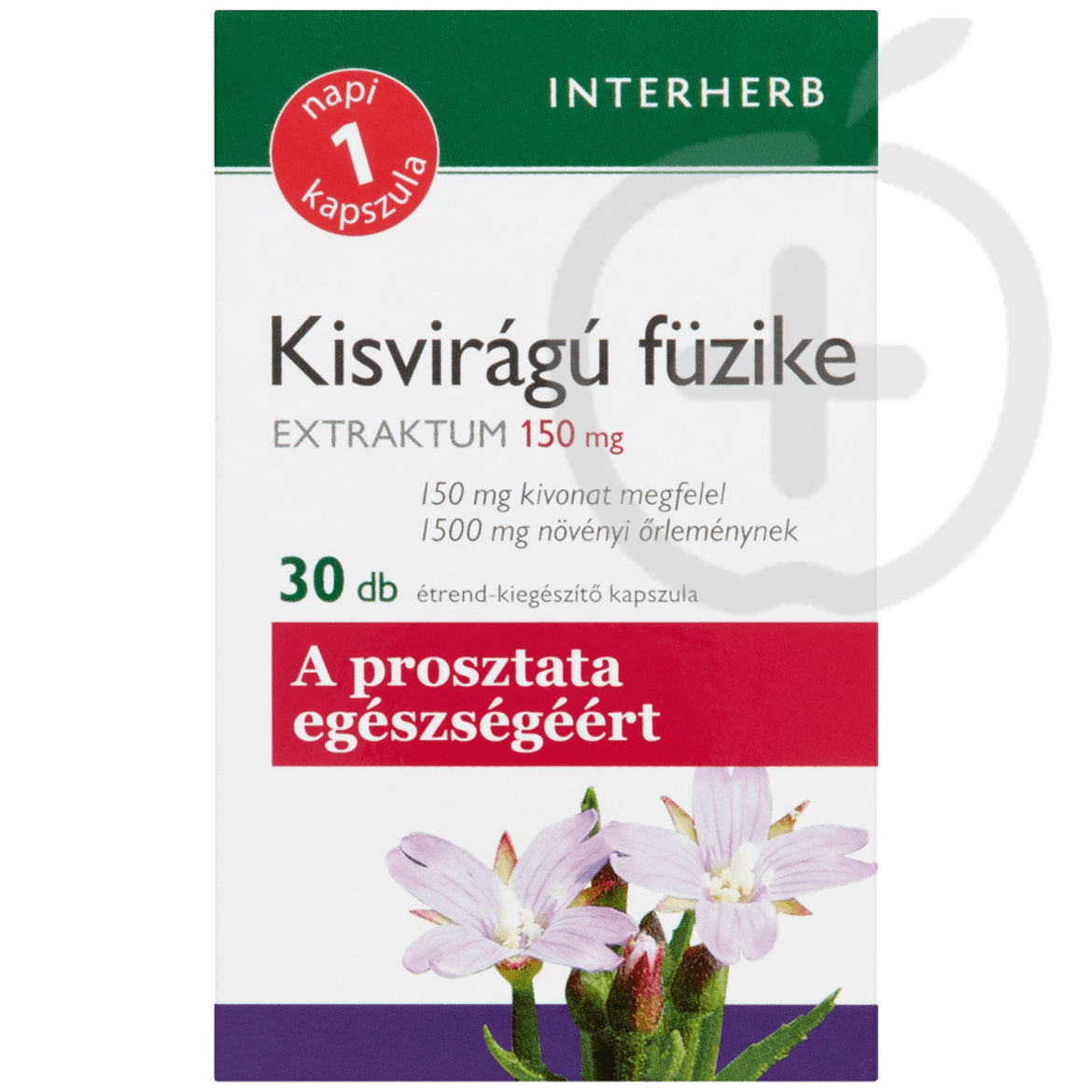 Interherb Napi1 Kisvirágú Füzike Extraktum 150 mg étrend-kiegészítő kapszula