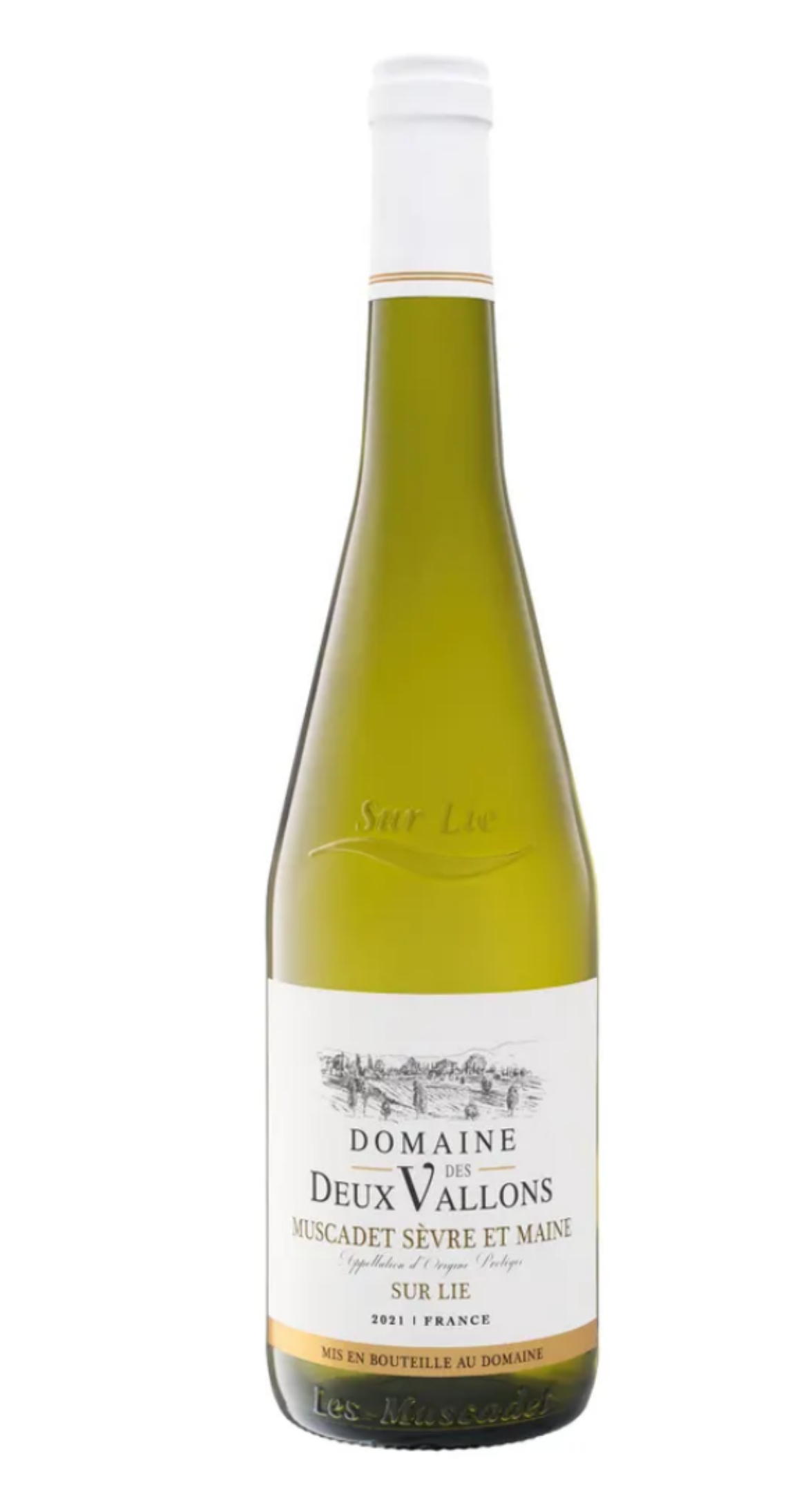 Muscadet Sevre