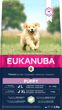 Eukanuba Large Breeds száraz kutyaeledel puppy bárány&rizs