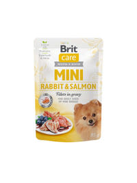 Brit Mini kutya tasak adult nyúl&lazac