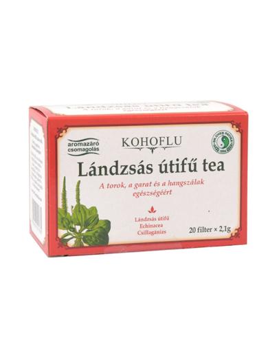 Dr.Chen Patika lándzsás útifű tea 20 x 2,1 g