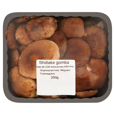 Shiitake gomba