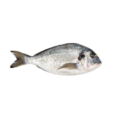 Aranydurbincs 3-400g (Adria) tisztított (pikkelyezett, zsigerelt)