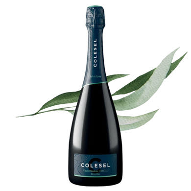 Colesel - Pal de Testa Bio Valdobbiadene Prosecco Superiore DOCG Brut