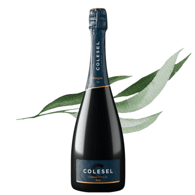 Colesel - Pentagono 69 Cartizze Brut