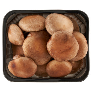 Shiitake gomba