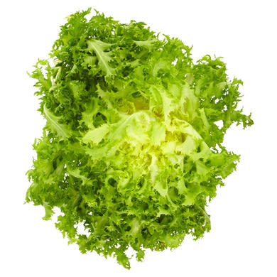Frisée saláta 1 db