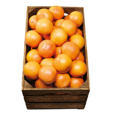 Piros grapefruit lédig