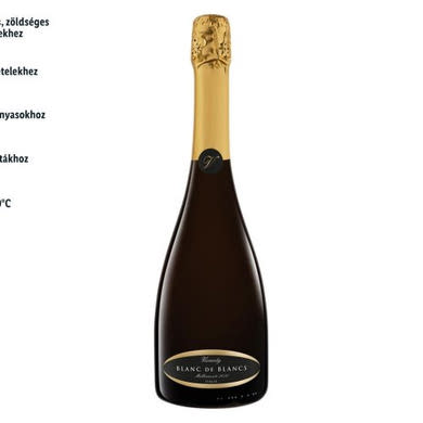Vivacity blanc de blanc vino Spumante Extra Dry fehér pezsgő11 %, 0,75 L