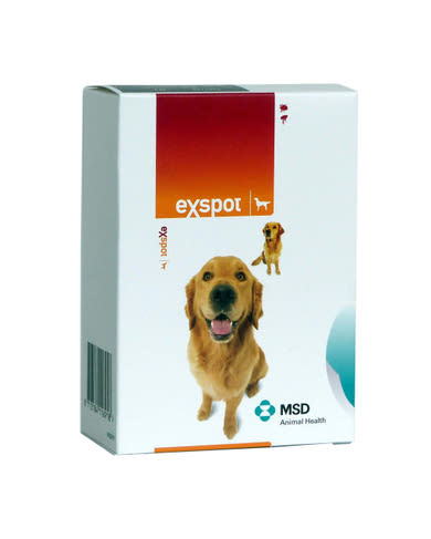 Exspot kullancs és bolha elleni spot on 6x1ml