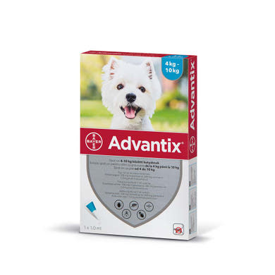 Advantix spot-on kutyáknak 4-10kg 1x1,0ml