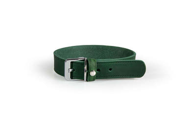 Das Lederband kutyanyakörv Weinheim zöld 17-23cm