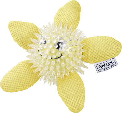 AniOne TOY kutyajáték tengeri csillag