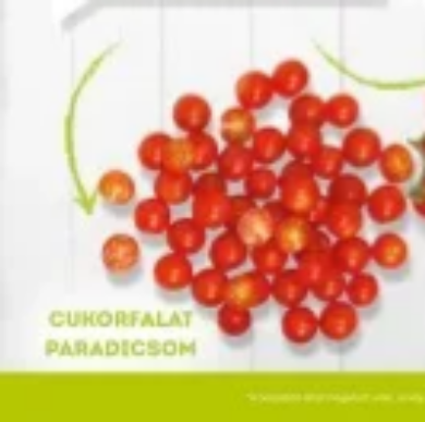 Paradicsom cukorfalat