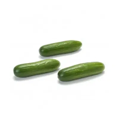 Snack uborka