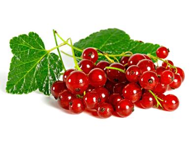 Ribizli, 125 g